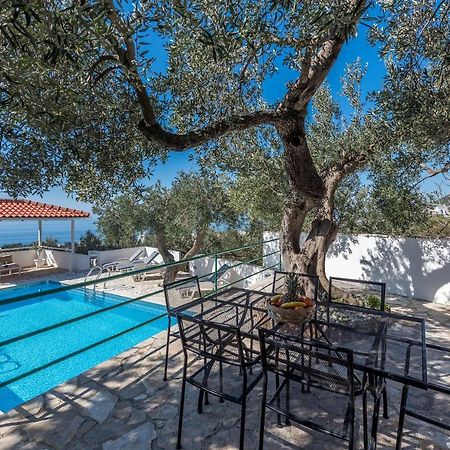 Apartment Glavina With Private Pool Makarska Luaran gambar